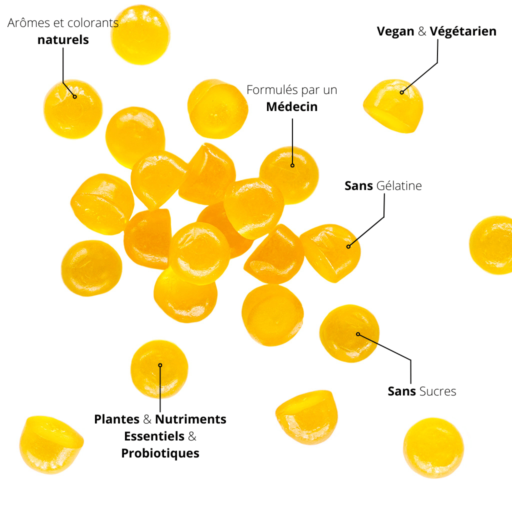 Gummies végétariens et vegans. Formulés par un médecin. Arômes et colorants naturels. Sans sucres. Plantes. Nutriments Essentiels. Probiotiques. Sans Gélatine.