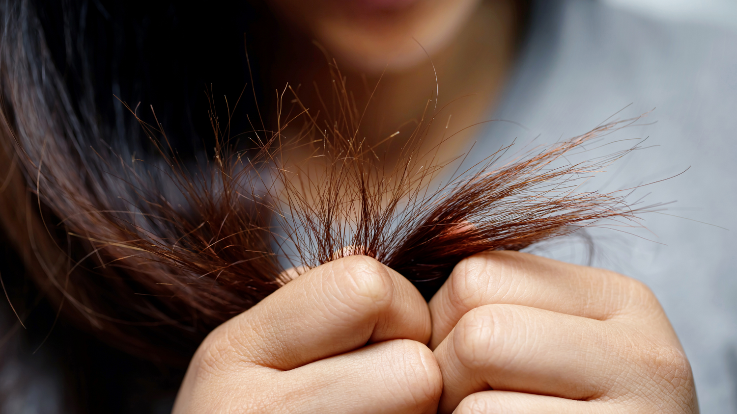 Femmes brunes regardant les pointes abîmées et fourchues de ses cheveux bruns qu'elle tient entre ses mains 