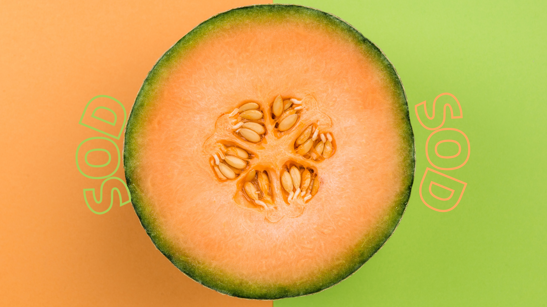 🍈 Melon SOD, a must-have for your beauty routine